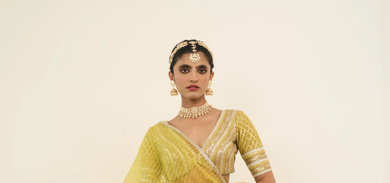 Elegance Redefined: Lehenga Set for Women and Shimmer Lehenga by Rishi & Vibhuti