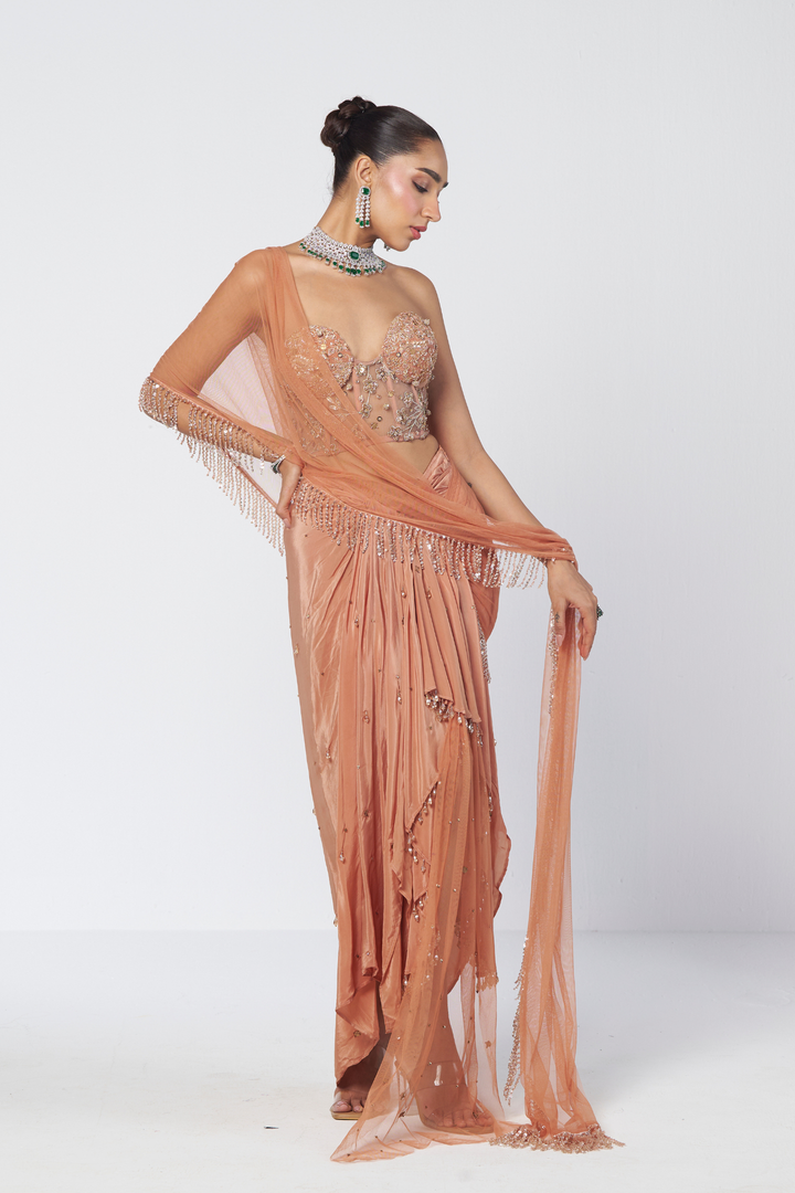 Biscoff Crush Saree