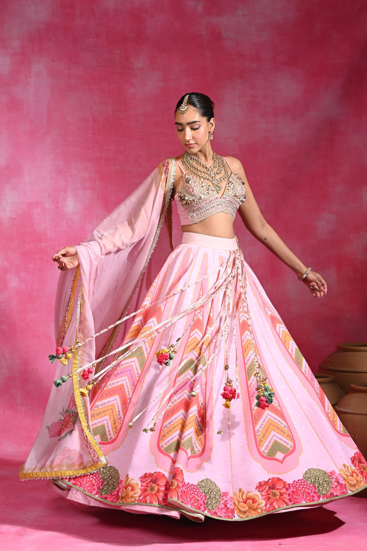 Mehar Tassel Lehenga