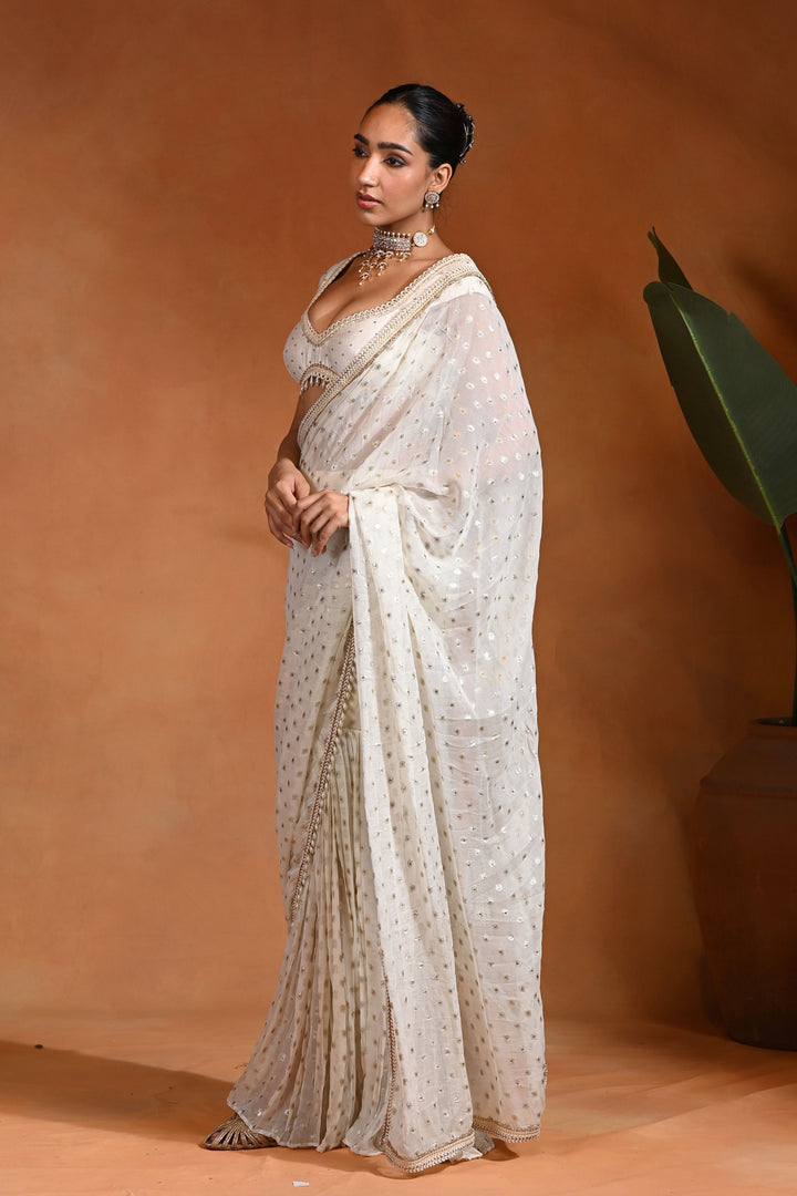 Rooh Pant Saree