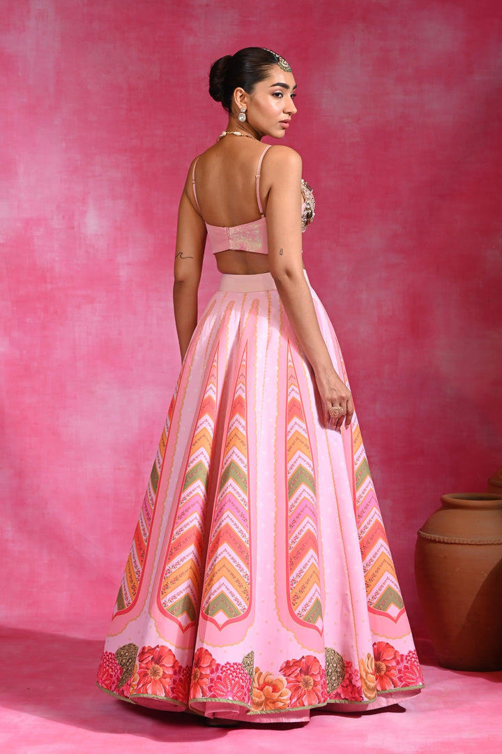 Mehar Tassel Lehenga