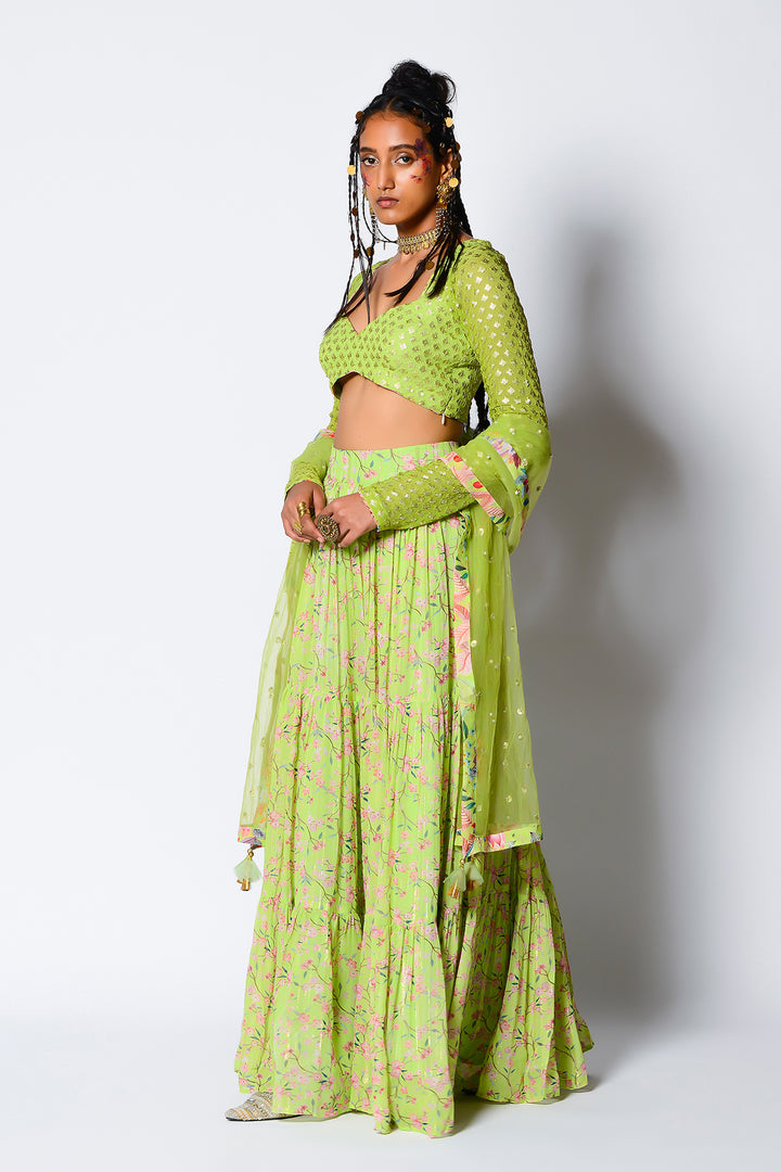 Lady Love Lehenga Set